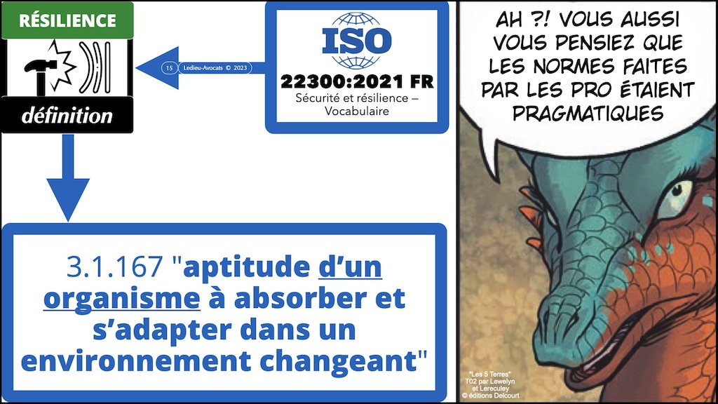 #507 déchiffrer DORA #03 résilience (numérique) et principe de proportionnalité © Ledieu-Avocats 28-10-2023.015