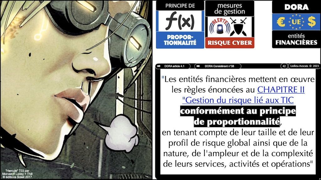 le principe de proportionnalité appliqué aux mesures de gestion du risque cyber - déchiffrer DORA #03 résilience numérique et principe de proportionnalité © Ledieu-Avocats 2023