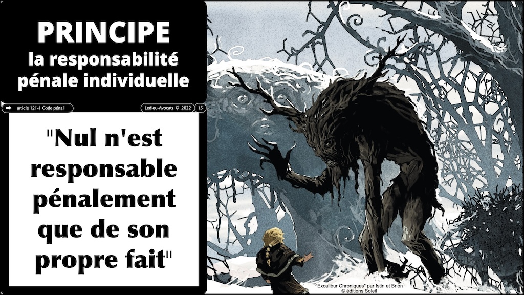 #549-1 RESPONSABILITE pénale civile contractuelle x1024x © Ledieu-Avocats 21-04-2024.015