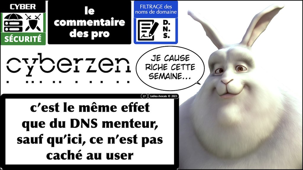 projet LPM 2023 spécial cyber #5 DNS filtrage des noms de domaine © Ledieu-Avocats 2023.027