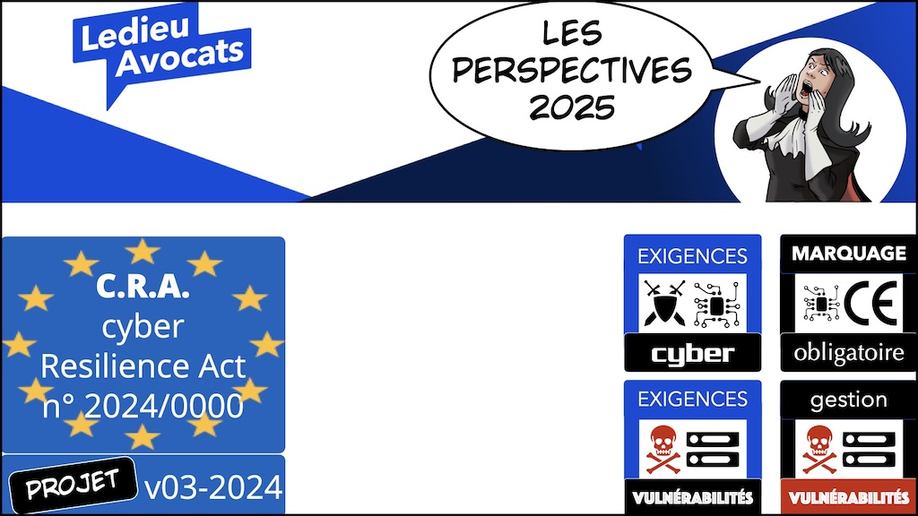 Ledieu-Avocats bilan 2024 stratégie perspectives 2025 © Ledieu-Avocats.029