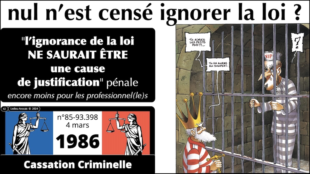 #591 OSINT et Leak c'est légal ou c'est pénal [OSINT-FR ECW 18 novembre 2024] © Ledieu-Avocats 17-11-2024.042