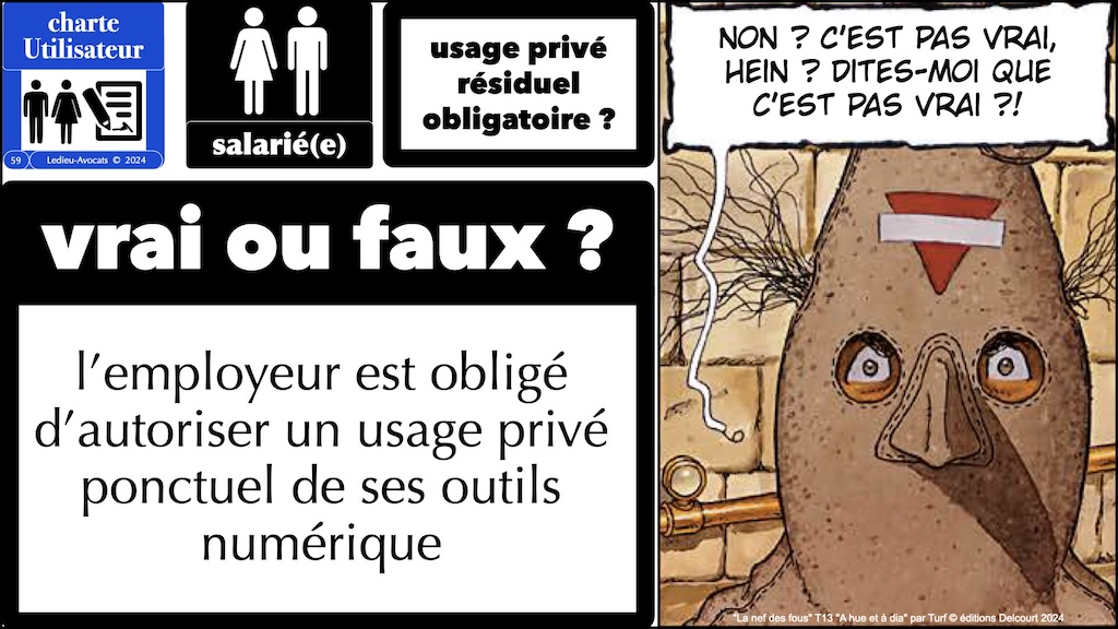 #594 droit du numérique et cyber-sécurité KLEPIERRE 26 novembre 2024 © Ledieu-Avocats.059