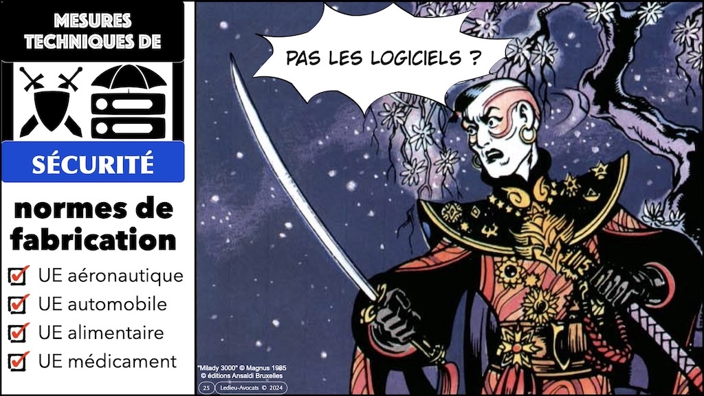 #595 DORA expliqué aux décideurs KERIALIS sensibilisation 29 novembre 2024 © Ledieu-Avocats.025