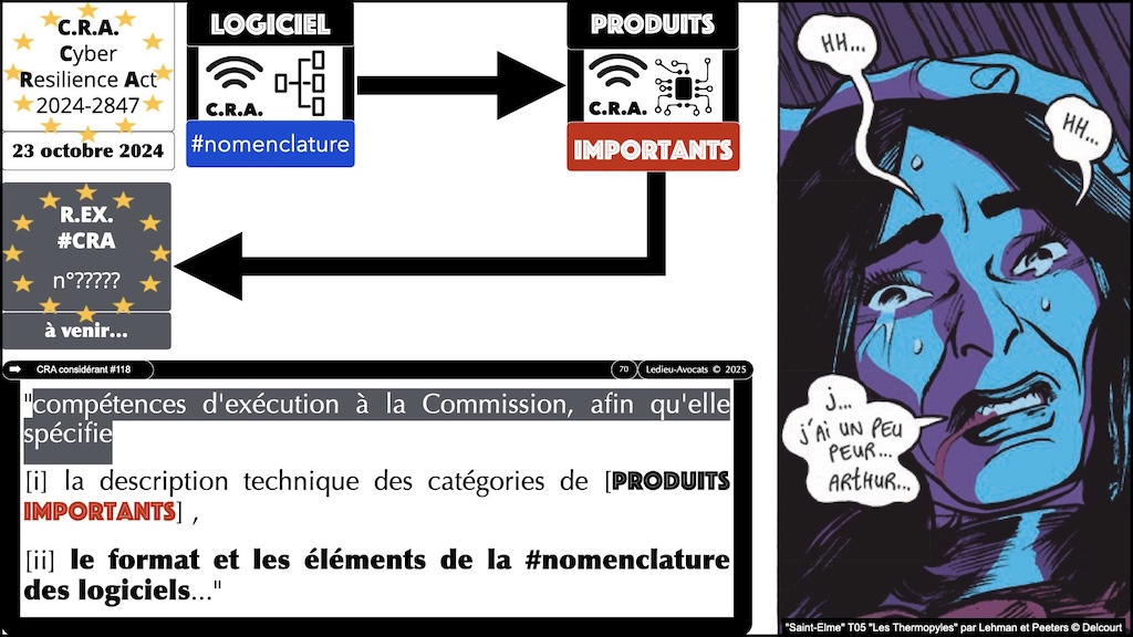 #616 CRA documentation technique ? instructions utilisateur ? auto-évaluation documentée de conformité ? Cyber Resilience Act #08 © Ledieu-Avocats 2025.070