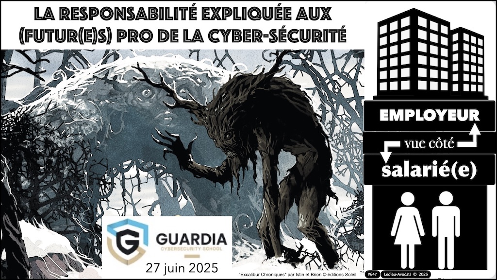 #647 RESPONSABILITE pénale civile PRINCIPES © Ledieu-Avocats 25-06-2025.002