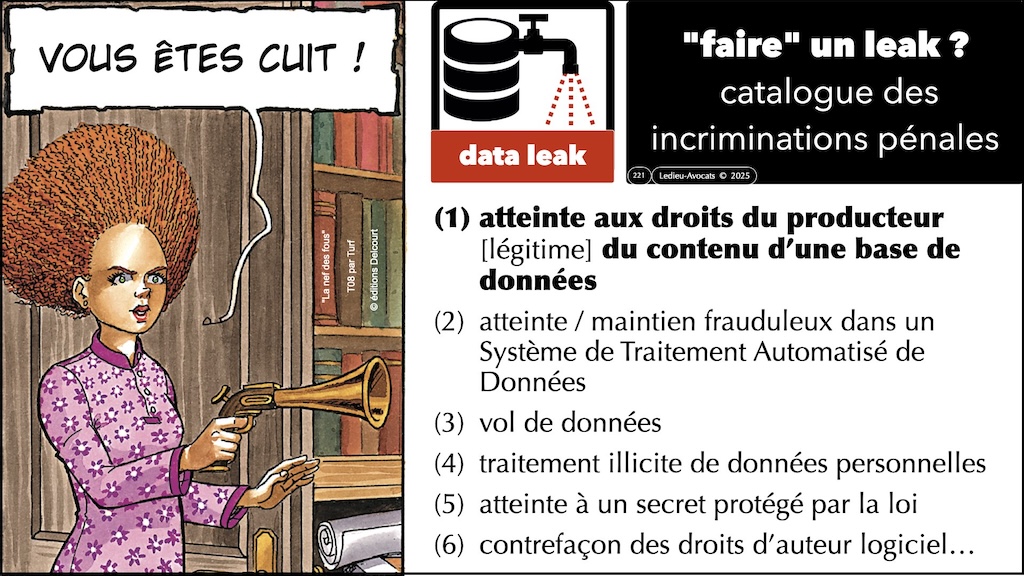#702-base-de-données-pentest-et-leaks-épisode-10-12 © Ledieu-Avocats 2026.023