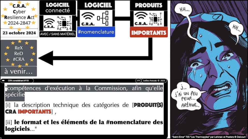 #690 CRA la nomenclature des logiciels Cyber Resilience Act #15 © Ledieu-Avocats.044
