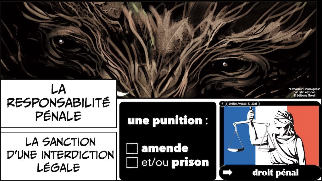 #681-2 CYBERSCHOOL Rennes RESPONSABILITE pénale civile © Ledieu-Avocats 17-11-2025.008