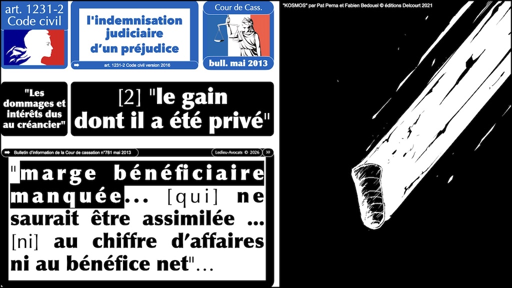 #719 Les tribunaux la responsabilité et les cyberattaques © Ledieu-Avocats 18-03-2026.030