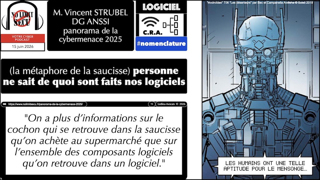 #744 panorama ANSSI de la cybermenace 2025 © Ledieu-Avocats 16-06-2026.016