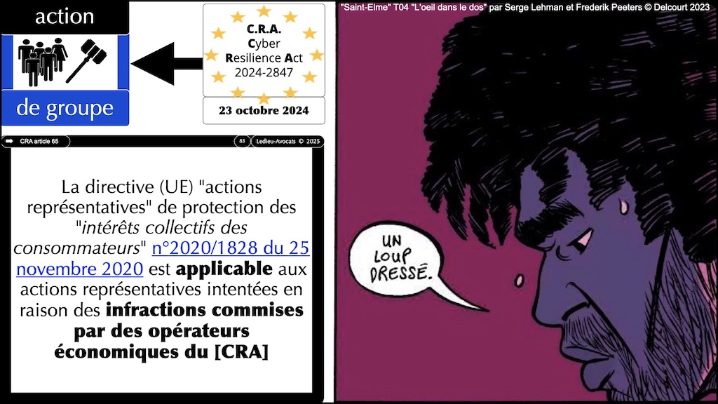 #658 action groupe QUELS domaines #4:7 © Ledieu-Avocats 26-07-2025.083