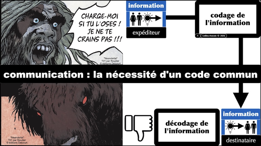 #755 encodage et communication - données information signal #05 © Ledieu-Avocats 2026.006