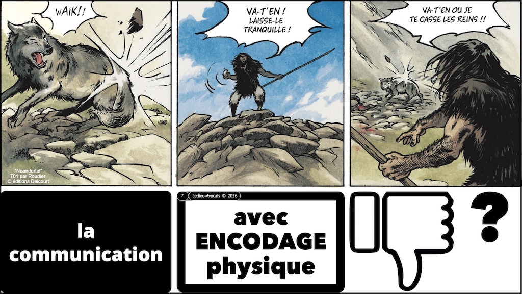 #755 encodage et communication - données information signal #05 © Ledieu-Avocats 2026.007